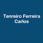 Tenreiro Ferreira Carlos Expert