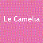 Le Camelia fleuriste