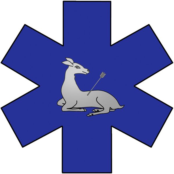 Ambulance Lupi urgences médicales