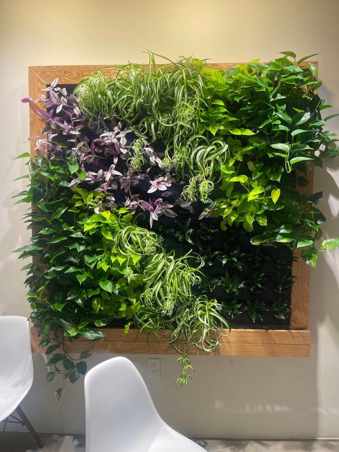 Rito's Mexican Food - Mesa, AZ