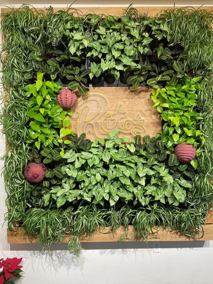 Rito's Mexican Food - Mesa, AZ