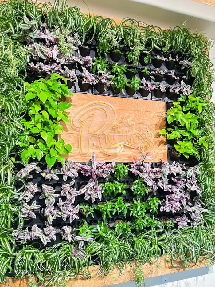 Rito's Mexican Food - Mesa, AZ