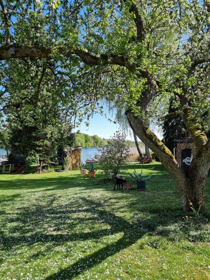 Zimmervermietung Grünheide, Rosenberg in Grünheide (Mark)