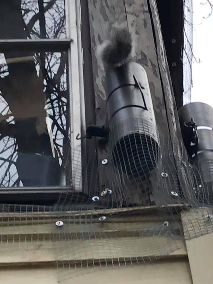 JMB Construction & Rodent Control - South Glens Falls, NY