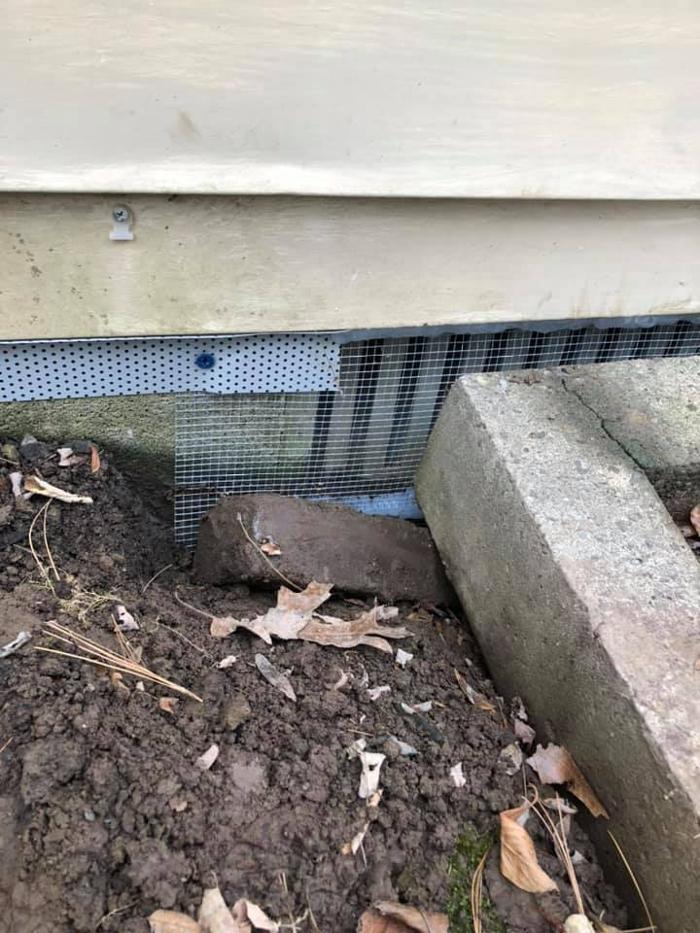 JMB Construction & Rodent Control - South Glens Falls, NY