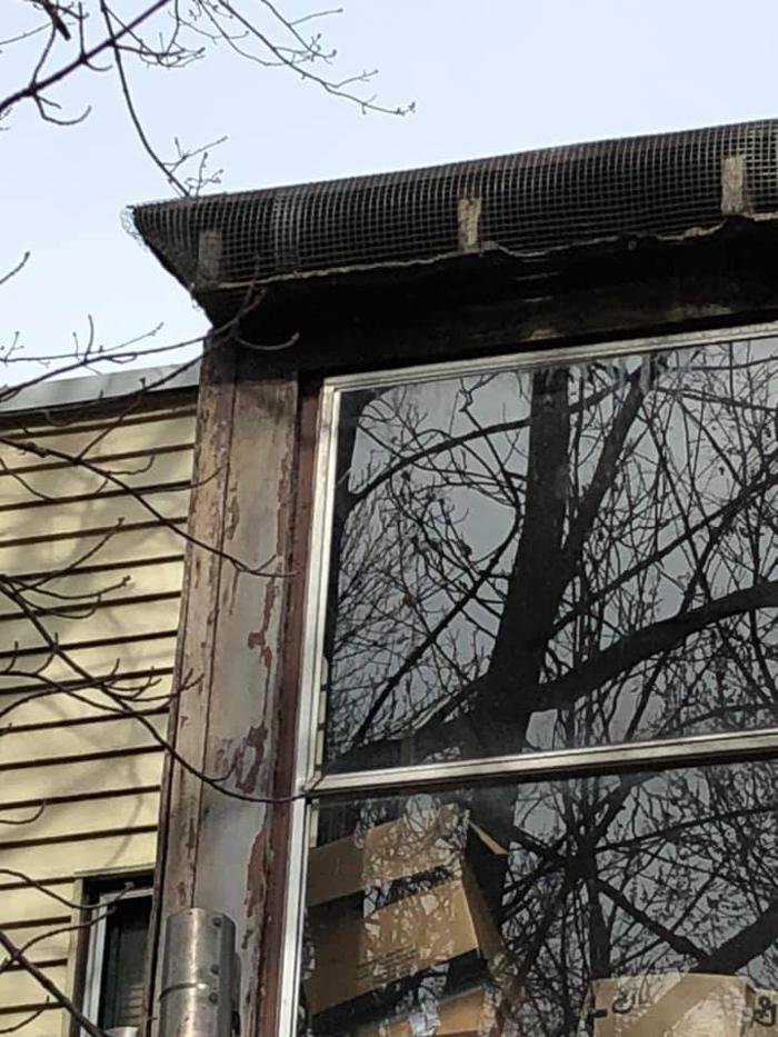 JMB Construction & Rodent Control - South Glens Falls, NY