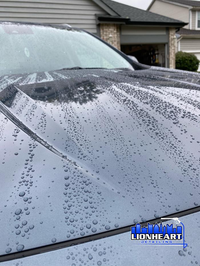 Lionheart Detailing - PPF, Ceramic Coating & Car Detailing - Hilliard, OH