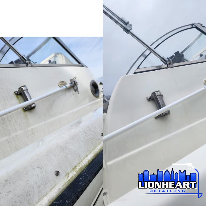 Lionheart Detailing - PPF, Ceramic Coating & Car Detailing - Hilliard, OH
