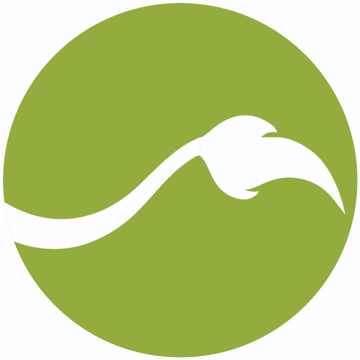Circular Image