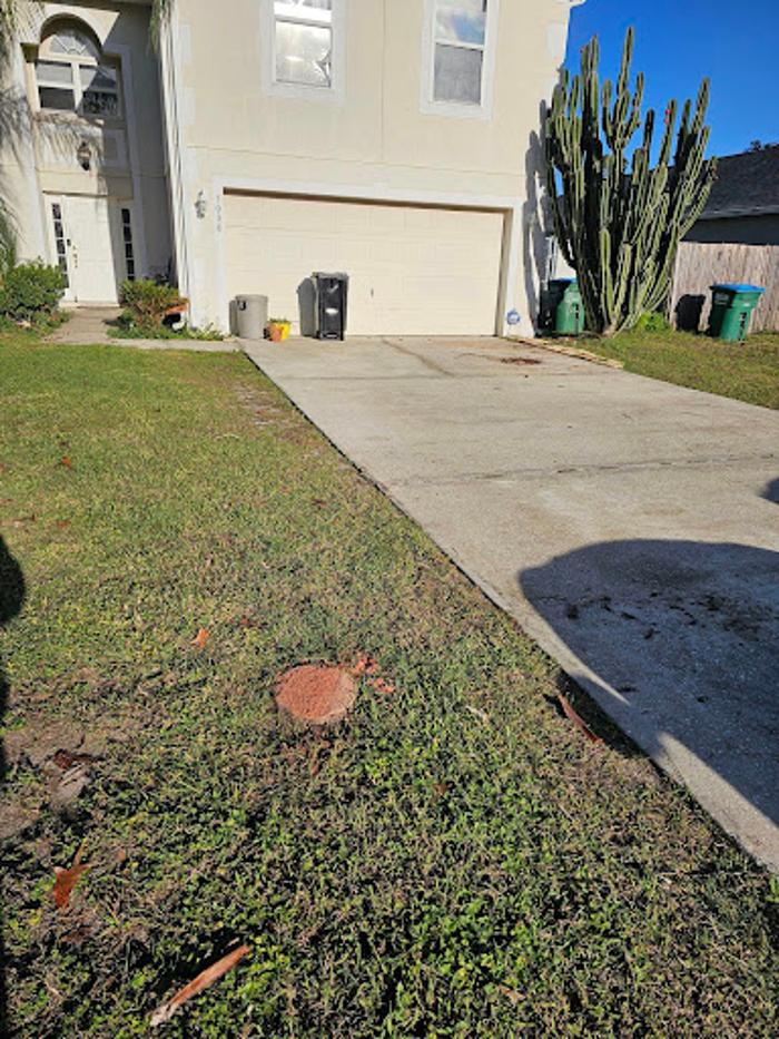 Dynamic Tree Masters LLC - Port Orange, FL