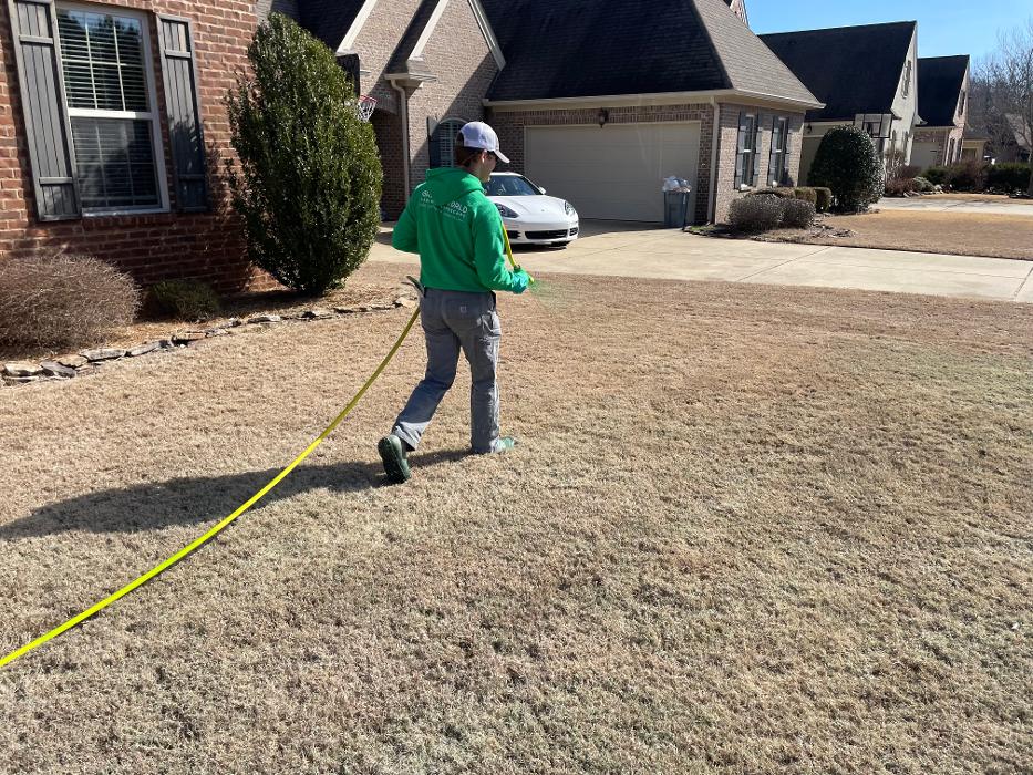 Green World Lawn & Landscape - Thaxton, MS