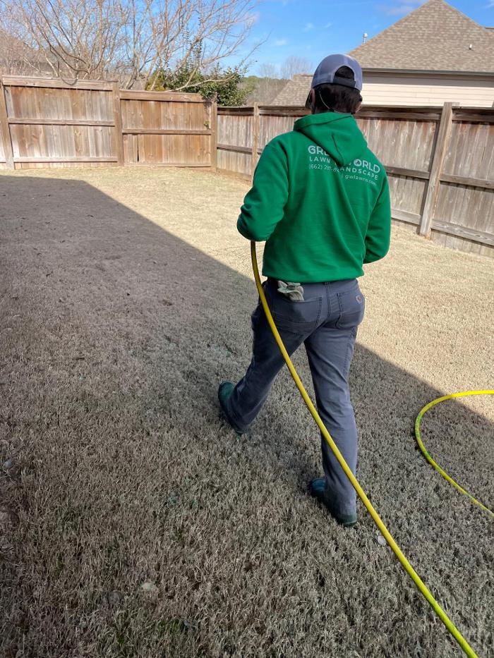 Green World Lawn & Landscape - Thaxton, MS