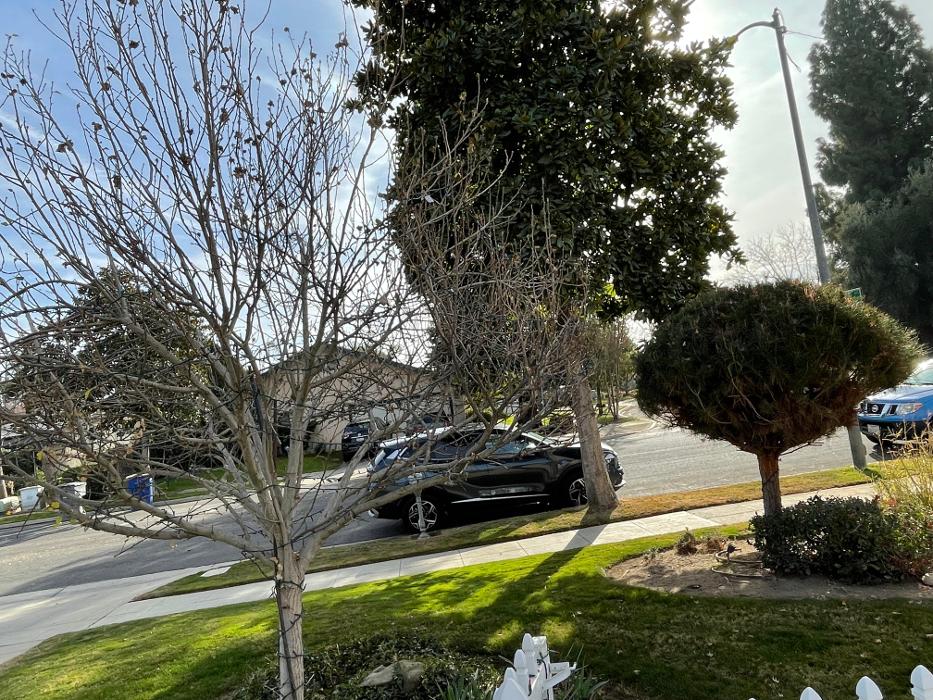 TaskBusters - Clovis, CA