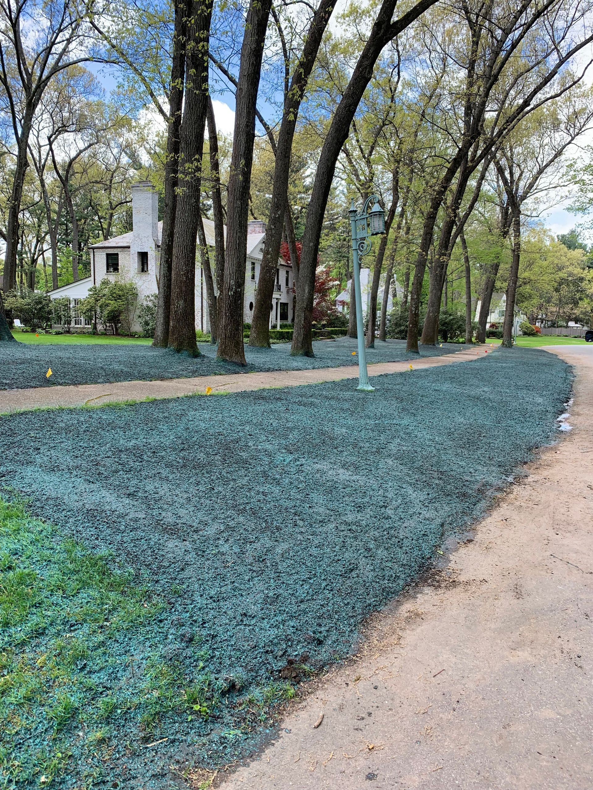 Hydroseeding