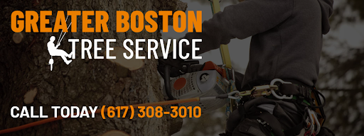 Image 2 | Greater Boston Tree Service