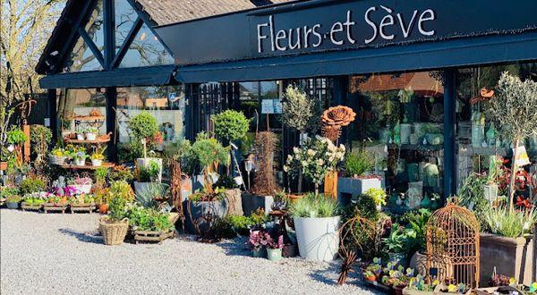 Fleurs Et Sève fleuriste