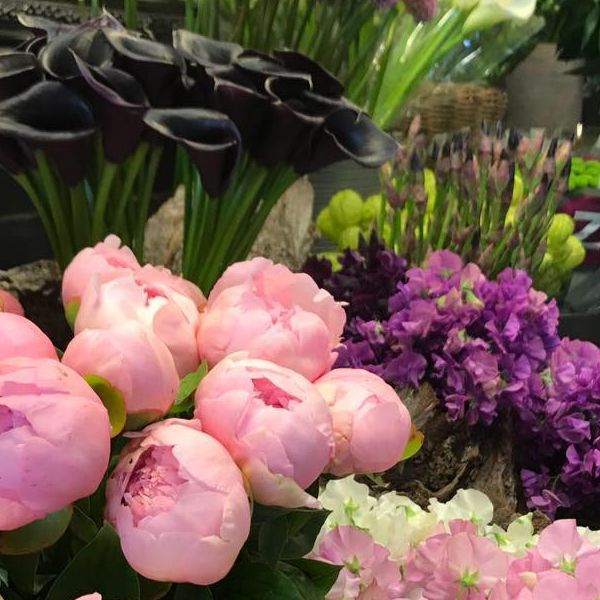 Histoire de Fleurs
