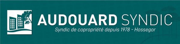 Audouard Syndic organisation internationale