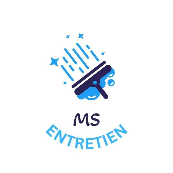 MS Entretien vidange et curage