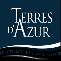 Terres D'Azur expert en immobilier