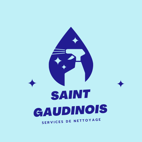 Nettoyage Saint Gaudinois vidange et curage