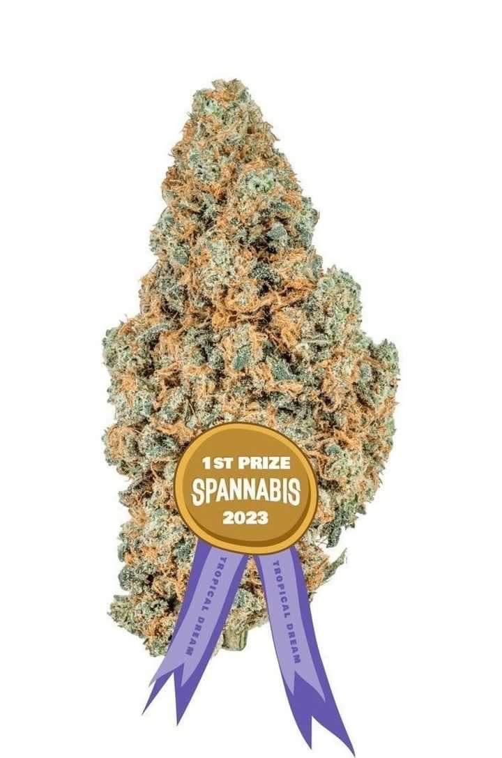 El Camino Verde CBD droguerie (détail)