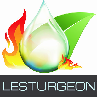 Lesturgeon Gaetan plombier