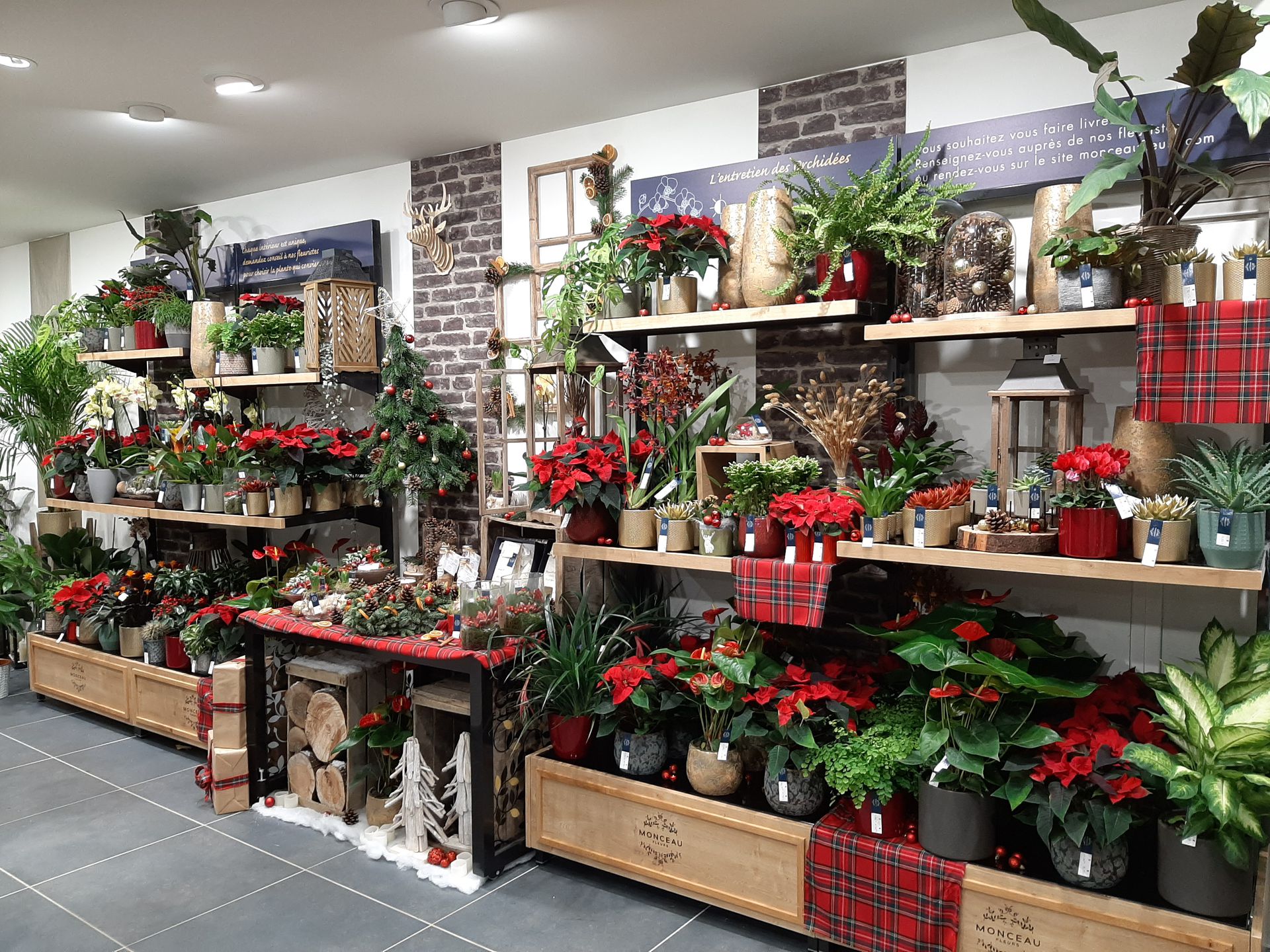 galerie image galerie image