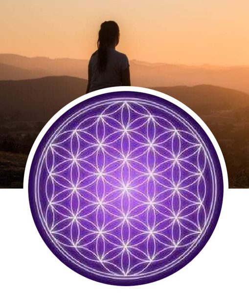 Gaben Audrey Autres services