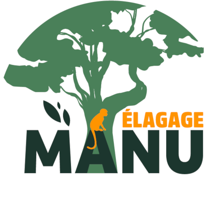 Manu Elagage Expert