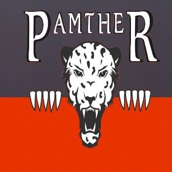 Pamther Expert