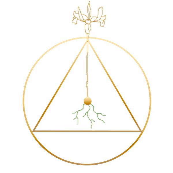 Foucher Florence Autres services