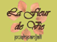 Barbier Caroline Anne nutritionniste, médecin en nutrition