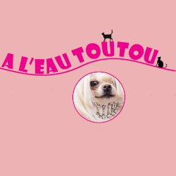 A L'Eau Toutou
