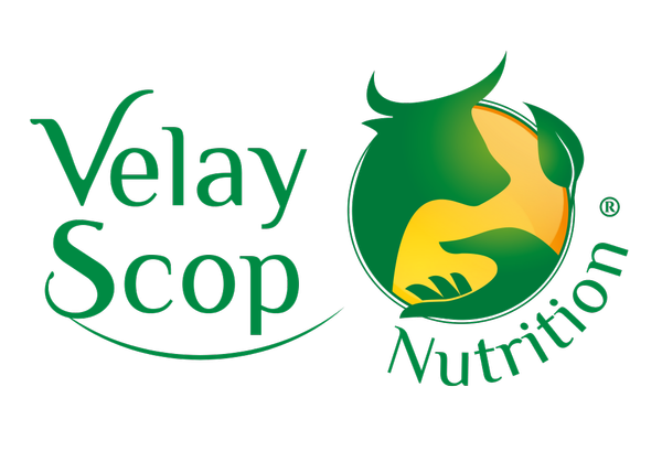 Velay