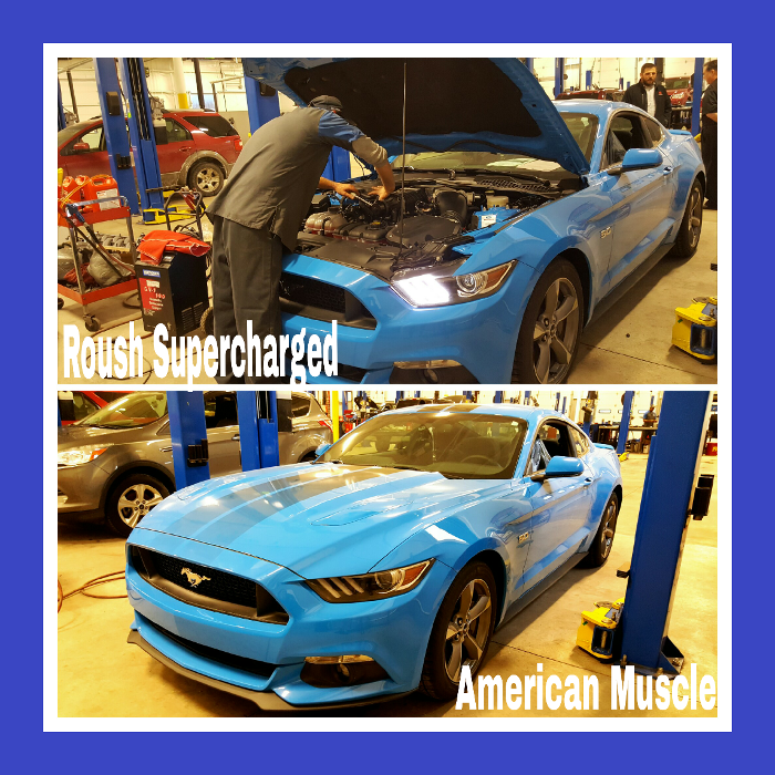 Sharpnack Ford - Willard, OH