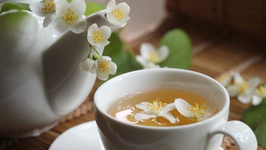 Balance - Solution, Weidenring in Friedrichshafen