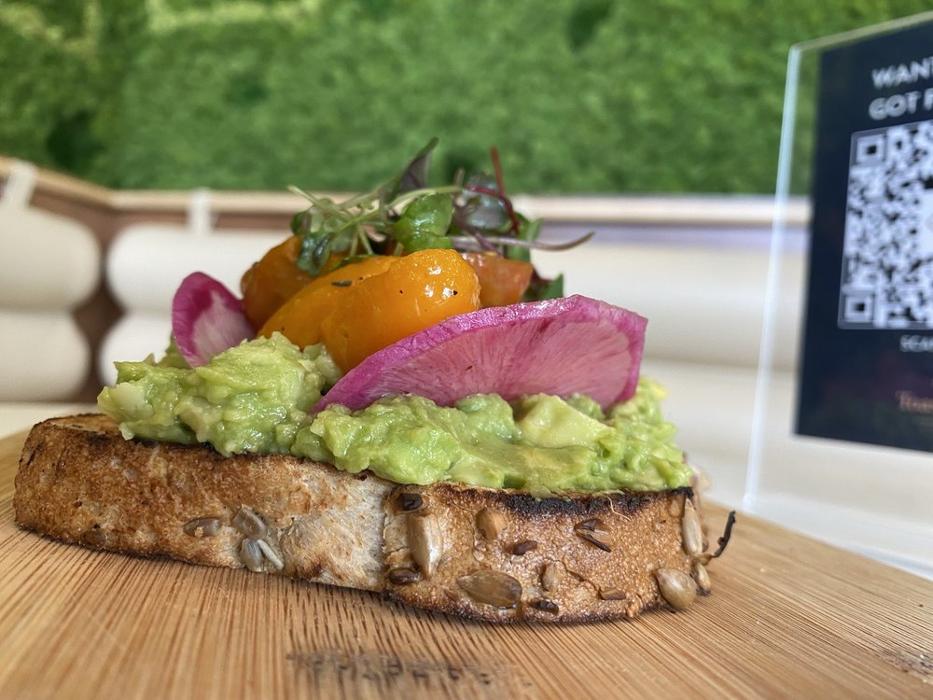 Toastique - Winter Garden, FL