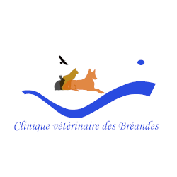 Clinique Vétérinaire Des Bréandes vétérinaire (matériel et fournitures)