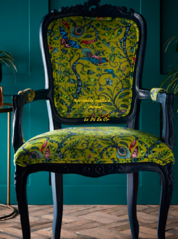 galerie image
