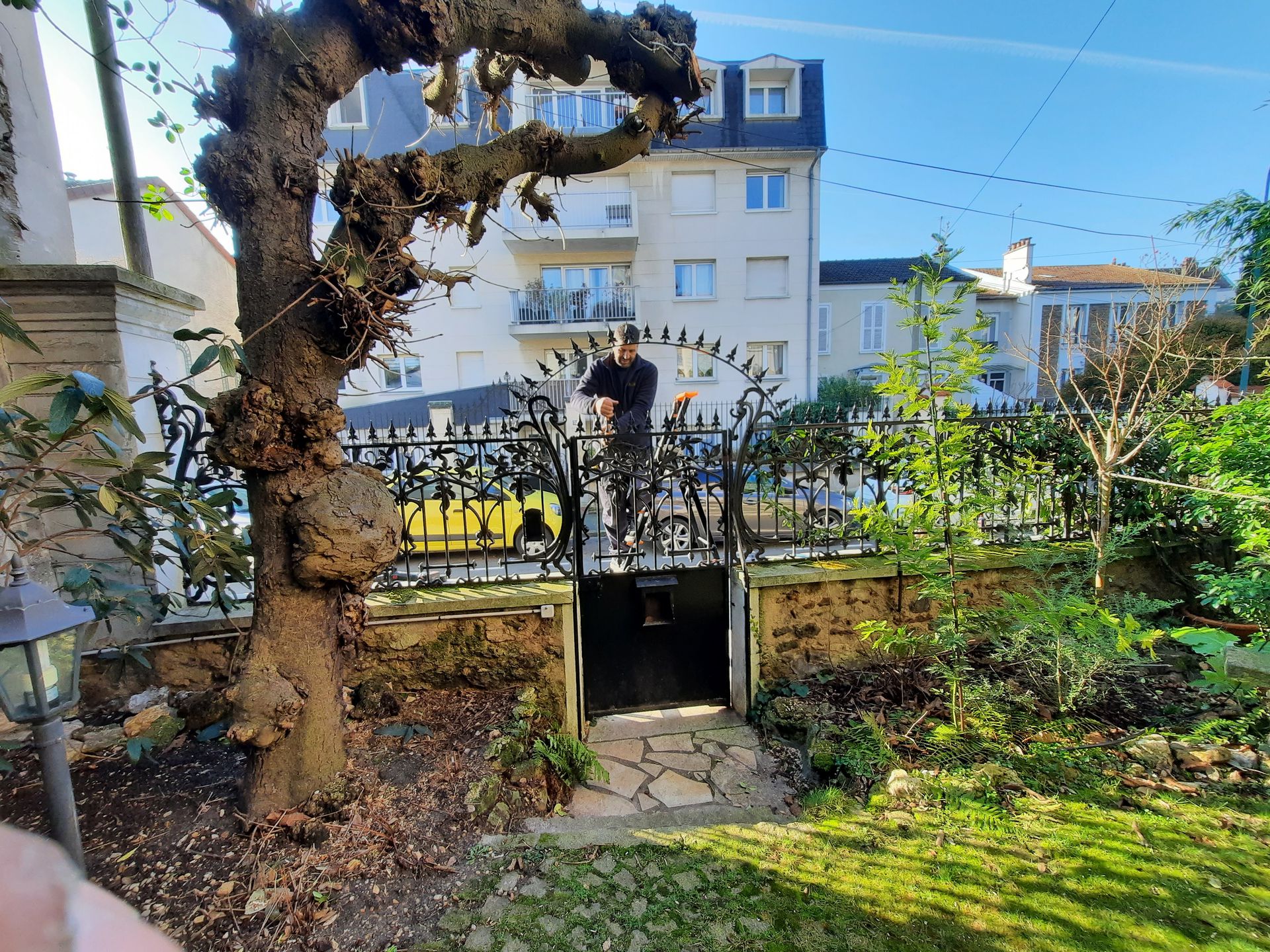 galerie image