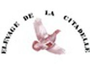 Elevage de la Citadelle