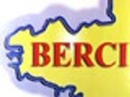 B.E.R.C.I. Expert