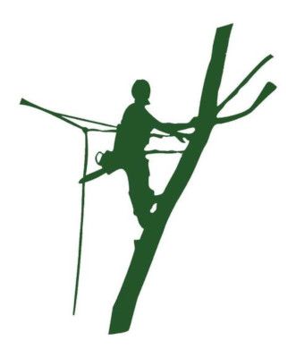 Ittel Nicolas Expert