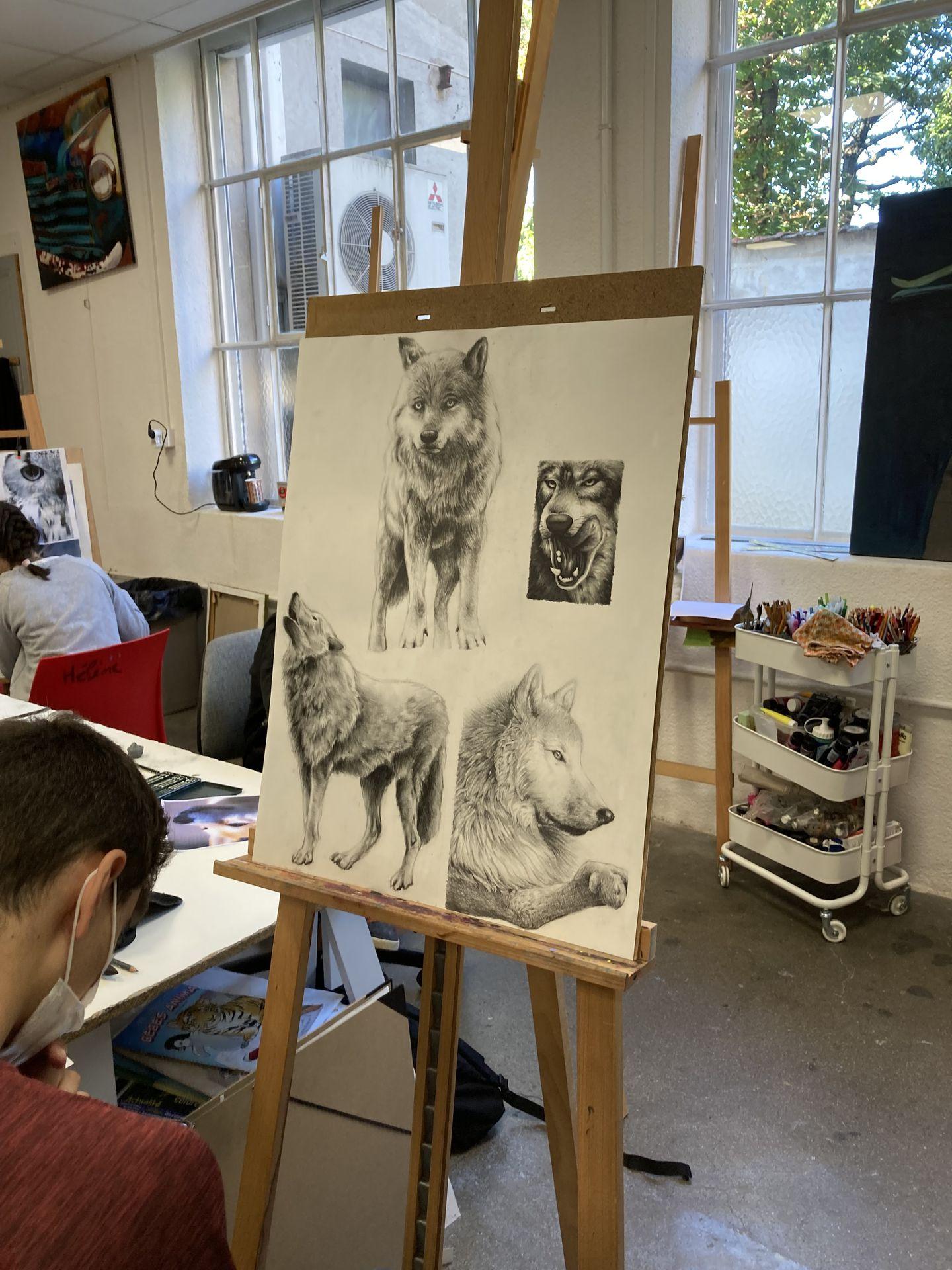 galerie image
