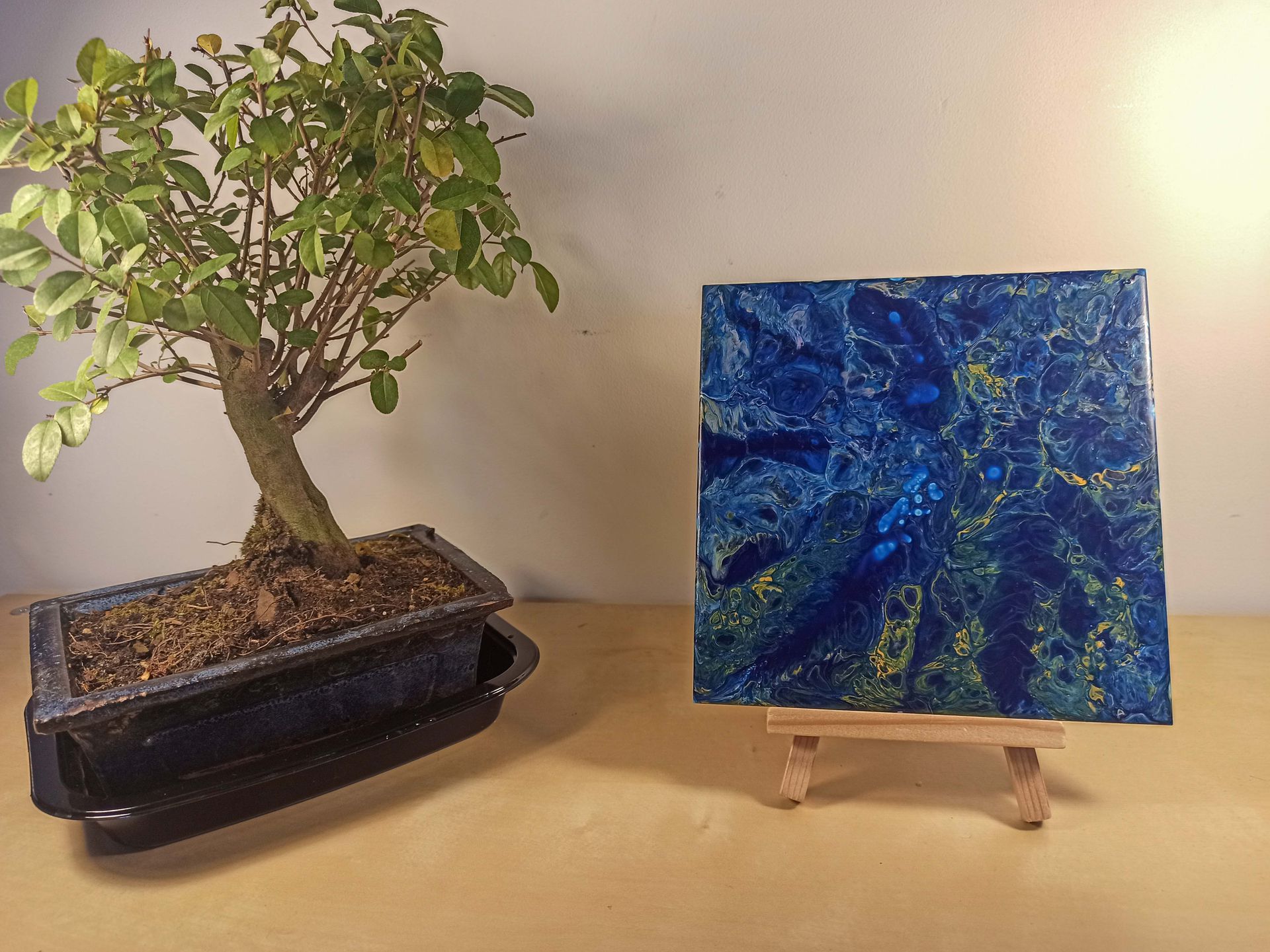 galerie image