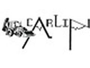 Carlin Jean Marie SAS