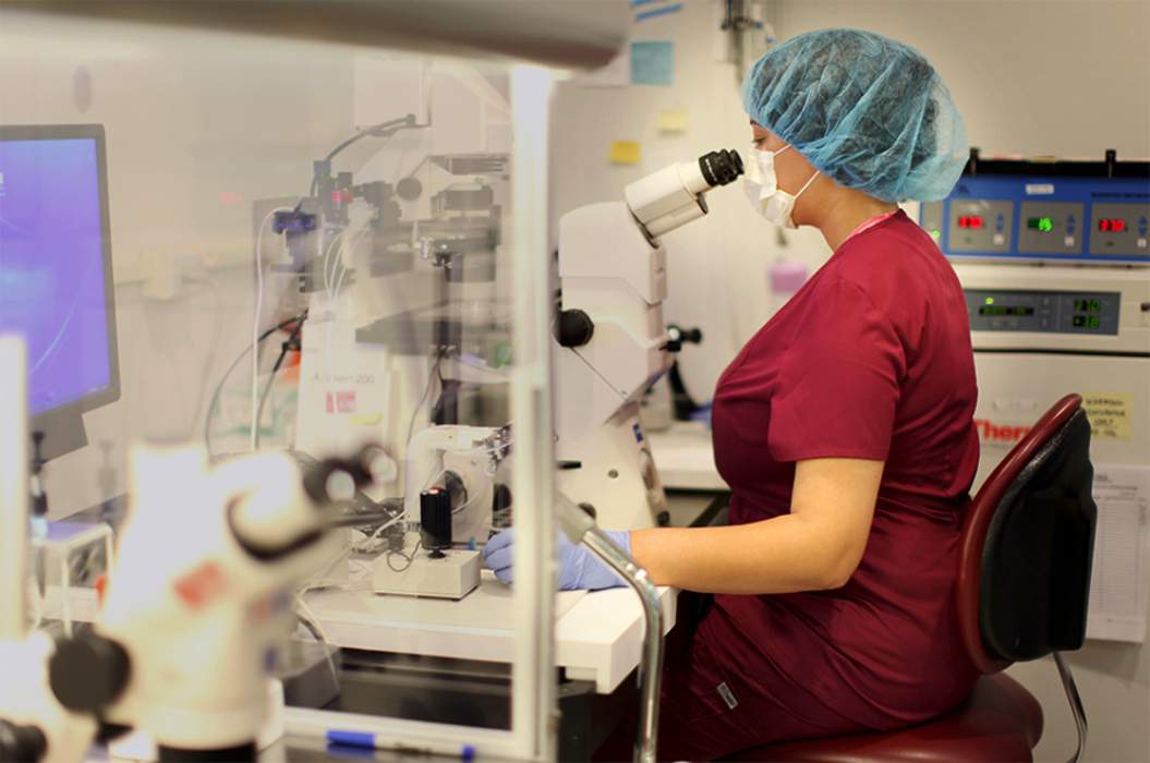 The Center for Fertility & Gynecology - Tarzana, CA