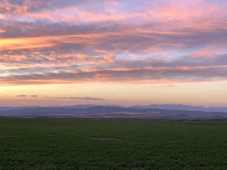 Living Sky Grains - Three Forks, MT
