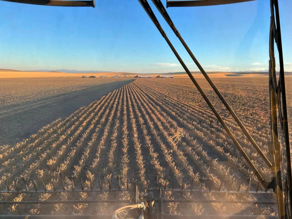 Living Sky Grains - Three Forks, MT